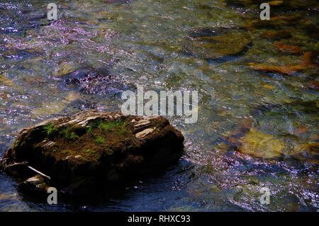Steinblock mit Gras Vegetation in das fließende Wasser Stockfoto