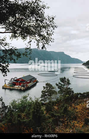 Eine typische Lachs Aquakultur Fischzucht in einem Norwegion Fjord, Norwegen Skandinavien. Stockfoto