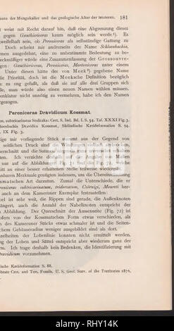 . Beiträge zur Naturwissenschaft von Kamerun. Geologie und Paläontologie. Dr. Friedrich Solg. Bitte beachten Sie, dass diese Bilder sind von der gescannten Seite Bilder, die digital für die Lesbarkeit verbessert haben mögen - Färbung und Aussehen dieser Abbildungen können nicht perfekt dem Original ähneln. extrahiert. Esch, Ernst, 1870; Oppenheim, Paul, 1863-1934; Solger, Friedrich, b. 1877; Jaekel, Otto Max Johannes, 1863-1929; Deutschland. Auswärtiges Amt. Kolonial-abteilung. Stuttgart, E. Schweizerbartsche Verlagsbuchhandlung (E. Nägele) Stockfoto