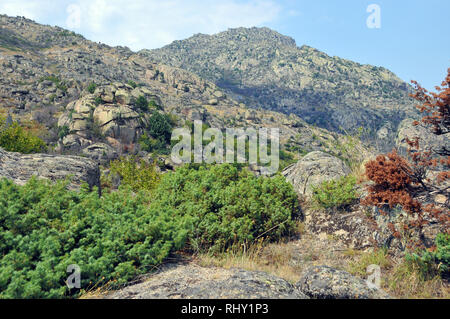 Mazedonien, Europa. Den Berg Zlatovrv Zlato (1422 m), in der Nähe von Prilep in der pelagonia Region Mazedonien. Stockfoto