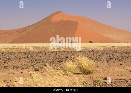 Dünen im Sossusvlei Stockfoto