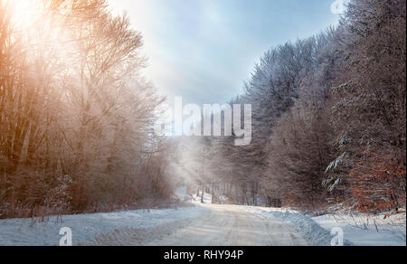Kalte Winter morgen im Bergwald mit verschneiten Tannen. Splendid outdoor Szene von Stara Planina in Bulgarien. Landschaft