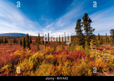 Nabesna Road in Wrangell-St - Elias National Park im Herbst Stockfoto