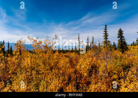 Nabesna Road in Wrangell-St - Elias National Park im Herbst Stockfoto