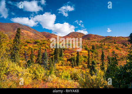 Nabesna Road in Wrangell-St - Elias National Park im Herbst Stockfoto