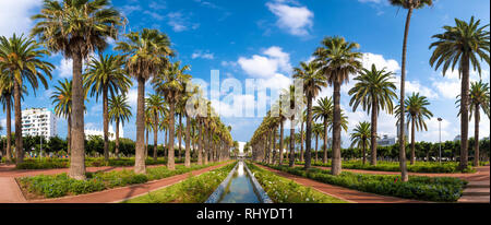 Panorama von Palmen in der Arabischen Liga Park (Parc de la Ligue Arabe) in Casablanca, Marokko. Hauptattraktion und schönen grünen Garten Stockfoto