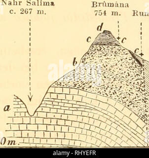 . Beiträge zur Naturwissenschaft Syriens.. Geologie und Paläontologie. - () - Available in der^ estse. te des GebirgsKickens von Brumftna-Betn. cri trifft Mann ziemlich bin Ber-^ es-Fusse mit dem Anst. Egc von Werden. Rf. t / BrumAna östlich Schteidi unter oder eigentlich (östlich) "eben den. sted aufgerichteten rngon. ensandstcn den Glandarienkalk fenersteinführen. len, der hier auch in Kalköfen gebrannt wu-d. Ein d. eser Stelle fand ich wieder sterben, oder bekannten Cidarisstacheh Glandarien, sowie Ko rallen Le.Der wird sterben strat. g. aphische Bedeutung of this von Beirut aus so bequem; auszubeut ndcn Stelle dadurch Biene, ntrac Stockfoto