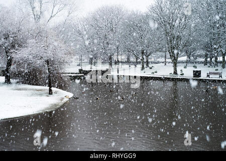 Starker Schneefall in Trenance Park in Newquay in Cornwall. Stockfoto