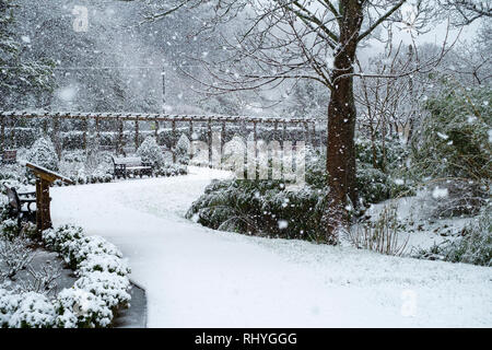 Starker Schneefall in Trenance Park in Newquay in Cornwall. Stockfoto