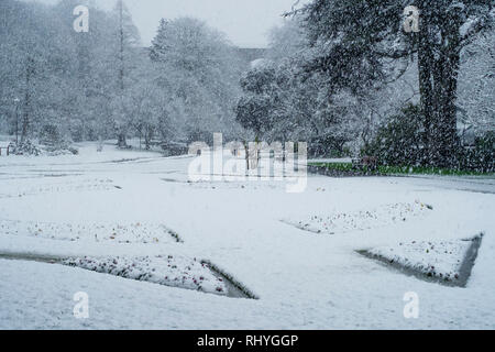 Starker Schneefall in Trenance Park in Newquay in Cornwall. Stockfoto