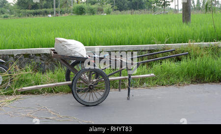 Warenkorb Dünger zu transportieren Stockfoto