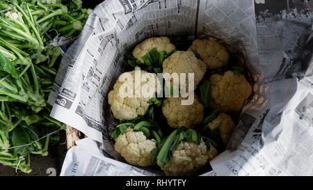 Ein Stapel von frischem Gemüse fertig zum Verzehr Stockfoto