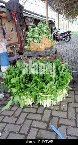 Ein Stapel von frischem Gemüse fertig zum Verzehr Stockfoto