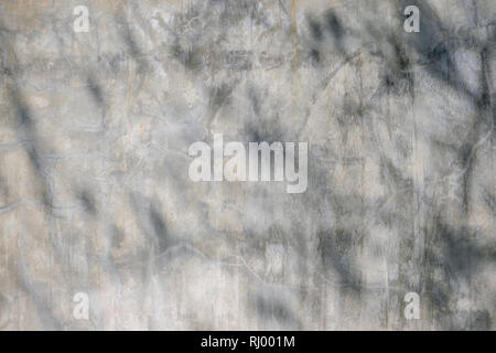 Schwarz und Weiß abstrakt Hintergrund textuer der Schatten Lamelle auf einer Betonwand Stockfoto