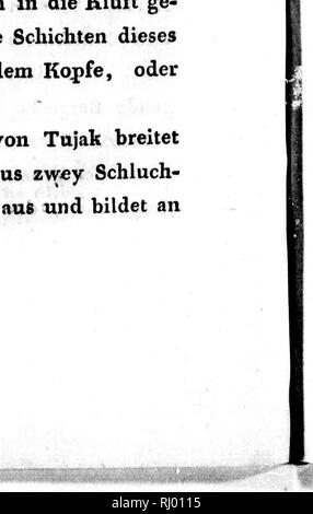 . Bemerkungen auf einer Reise in die südlichen Statthalterschaften des Russischen Reichs in den Jahren 1793 und 1794 [microform]. Natural History; Naturgeschichte; Baron, Baron. Bei". Bitte beachten Sie, dass diese Bilder sind von der gescannten Seite Bilder, die digital für die Lesbarkeit verbessert haben mögen - Färbung und Aussehen dieser Abbildungen können nicht perfekt dem Original ähneln. extrahiert. Pallas, Peter Simon, 1741-1811. Leipzig: Bey Gottfried Martini Stockfoto