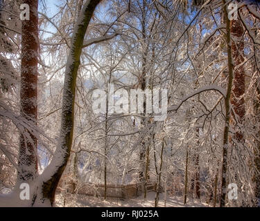 DE - Bayern: Winterliche Wälder entlang der Isar in Bad Tölz (HDR-Bild) Stockfoto