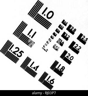 . Neue nordische BeytrÃ¤ge zur physikalischen und geographischen Erd-und VÃ¶ lcurbeschreibung, Naturgeschichte und Oekonomie [microform]. Reisen und Reisen; Naturgeschichte; Reisen; Baron. Bild TEST ZUR BEURTEILUNG ZIEL (MT-3). 1.0 l.l | 50"^* m VI 125 UÂ £ I. 2.0^ 1,25 11,4 11,6 â Â "6"-âº V]&gt; 2^&gt;. Bitte beachten Sie, dass diese Bilder sind von der gescannten Seite Bilder, die digital für die Lesbarkeit verbessert haben mögen - Färbung und Aussehen dieser Abbildungen können nicht perfekt dem Original ähneln. extrahiert. Pallas, Peter Simon, 1741-1811. St. Petersbur Stockfoto