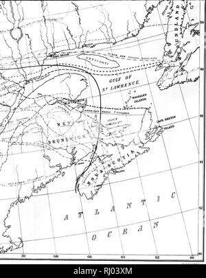 . Die geographische Verteilung der Bäume des Waldes in Kanada (mit einer Karte) [microform]. Bäume; die Wälder und die Forstwirtschaft; Arbres; Forêts et Forstwirtschaft. . Bitte beachten Sie, dass diese Bilder sind von der gescannten Seite Bilder, die digital für die Lesbarkeit verbessert haben mögen - Färbung und Aussehen dieser Abbildungen können nicht perfekt dem Original ähneln. extrahiert. Bell, Robert. [S. l. : N. n. ] Stockfoto