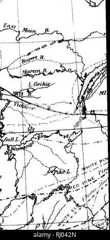 . Die geographische Verteilung der Bäume des Waldes in Kanada (mit einer Karte) [microform]. Bäume; die Wälder und die Forstwirtschaft; Arbres; Forêts et Forstwirtschaft. . Bitte beachten Sie, dass diese Bilder sind von der gescannten Seite Bilder, die digital für die Lesbarkeit verbessert haben mögen - Färbung und Aussehen dieser Abbildungen können nicht perfekt dem Original ähneln. extrahiert. Bell, Robert. [S. l. : N. n. ] Stockfoto