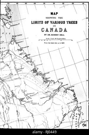 . Die geographische Verteilung der Bäume des Waldes in Kanada (mit einer Karte) [microform]. Bäume; die Wälder und die Forstwirtschaft; Arbres; Forêts et Forstwirtschaft. . Bitte beachten Sie, dass diese Bilder sind von der gescannten Seite Bilder, die digital für die Lesbarkeit verbessert haben mögen - Färbung und Aussehen dieser Abbildungen können nicht perfekt dem Original ähneln. extrahiert. Bell, Robert. [S. l. : N. n. ] Stockfoto