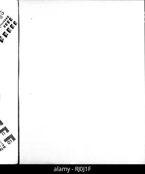 . Amerikanische Fische [microform]: Eine populäre Abhandlung über das Spiel und das Essen Fische in Nordamerika, mit besonderer Bezugnahme auf die Gewohnheiten und die Methoden der Erfassung. Fische; Angeln; Poissons; Pêche sportive. . Bitte beachten Sie, dass diese Bilder sind von der gescannten Seite Bilder, die digital für die Lesbarkeit verbessert haben mögen - Färbung und Aussehen dieser Abbildungen können nicht perfekt dem Original ähneln. extrahiert. Goode, G. Brown (George Brown), 1851-1896. Boston: Estes und Lauriat Stockfoto