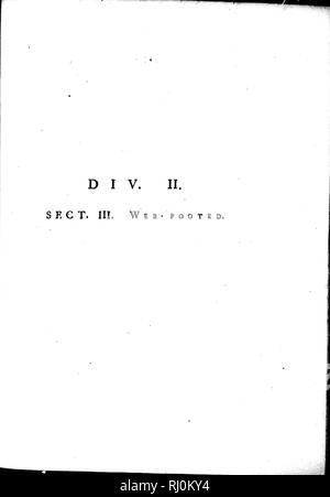 . Arktis Zoologie [microform]. Vögel; Oiseaux. . Bitte beachten Sie, dass diese Bilder sind von der gescannten Seite Bilder, die digital für die Lesbarkeit verbessert haben mögen - Färbung und Aussehen dieser Abbildungen können nicht perfekt dem Original ähneln. extrahiert. Wimpel, Thomas, 1726-1798. London: Gedruckt von Henry Hughes Stockfoto