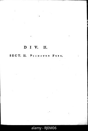 . Arktis Zoologie [microform]. Vögel; Oiseaux. . Bitte beachten Sie, dass diese Bilder sind von der gescannten Seite Bilder, die digital für die Lesbarkeit verbessert haben mögen - Färbung und Aussehen dieser Abbildungen können nicht perfekt dem Original ähneln. extrahiert. Wimpel, Thomas, 1726-1798. London: Gedruckt von Henry Hughes Stockfoto