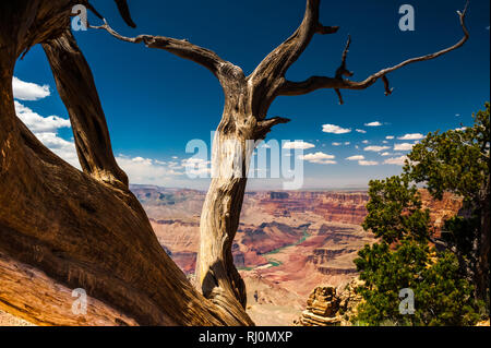 Grand Canyon als vom South Rim, Arizona, Vereinigte Staaten von Amerika, Nordamerika gesehen Stockfoto