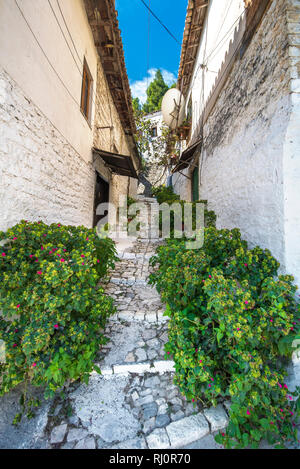 Berat, Albanien - Altstadt, historische Stadt. Winzige Stein Straßen mit weißen Häusern aus Stein im osmanischen Stil erbaut. Auch als "Stadt der tausend Fenster. Stockfoto
