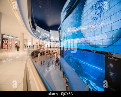 Dubai, VAE - 15. Mai 2018: Aquarium in der Dubai Mall - dem weltweit größten Shopping Mall, Downtown Burj Khalifa. Stockfoto