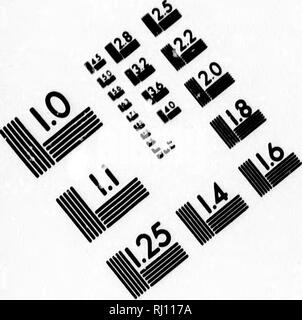 . Die amerikanische Biber und seine Werke [microform]. Biber; Rollen. Bild TEST ZUR BEURTEILUNG ZIEL (MT-3). Bitte beachten Sie, dass diese Bilder sind von der gescannten Seite Bilder, die digital für die Lesbarkeit verbessert haben mögen - Färbung und Aussehen dieser Abbildungen können nicht perfekt dem Original ähneln. extrahiert. Morgan, Lewis H. (Lewis Henry), 1818-1881. Philadelphia: Lippincott J.B. Stockfoto