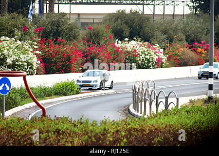 ISARAEL - September 21, 2017: Blick von der Straße in Israel mit vielen Blumen auf der Seite Stockfoto