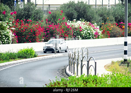 Blick von der Straße in Israel mit vielen Blumen auf der Seite Stockfoto