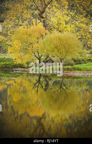 Herbstfarben im Fluss spiegeln Stockfoto