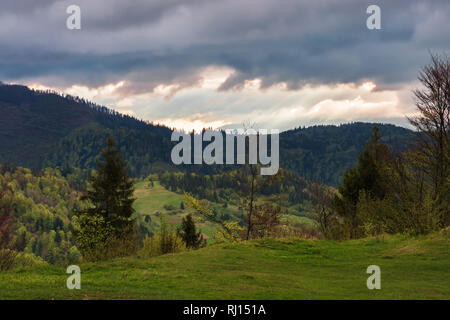 Frühling Landschaft in Berg. düsteren Nachmittag Wetter. Bäume auf einem grasbewachsenen Hügel. bewölkten Himmel. dramatische Natur Landschaft Stockfoto