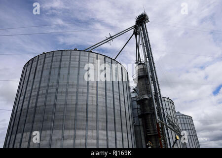 Mehrere massive Lagersilos für landwirtschaftliche Stahlgetreide, die für die Landwirtschaft im ländlichen Far North Texas, USA, verwendet werden Stockfoto