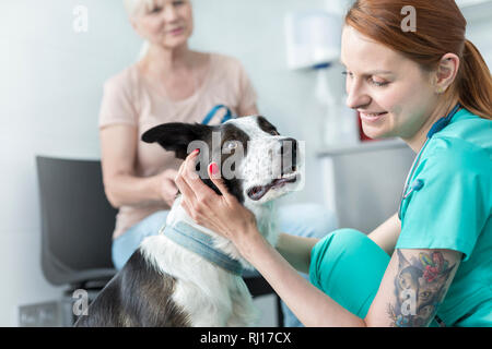 Lächelnden jungen Tierarzt streicheln Hund an der Klinik Stockfoto