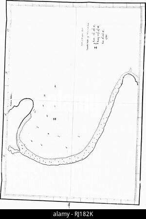 . Eine Reise rund um die Welt, sondern vor allem an der Nordwestküste von Amerika [microform]: 1785, 1786, 1787 und 1788, in der King George und Queen Charlotte, Kapitäne Portlock und Dixon; gewidmet, mit Genehmigung, zu Sir Joseph Banks, Bart. Reisen rund um die Welt; Botanik; Zoologie; Voyages Autour du Monde; Botanique; Zoologie. . Bitte beachten Sie, dass diese Bilder sind von der gescannten Seite Bilder, die digital für die Lesbarkeit verbessert haben mögen - Färbung und Aussehen dieser Abbildungen können nicht perfekt dem Original ähneln. extrahiert. Beresford, William, fl. Stockfoto