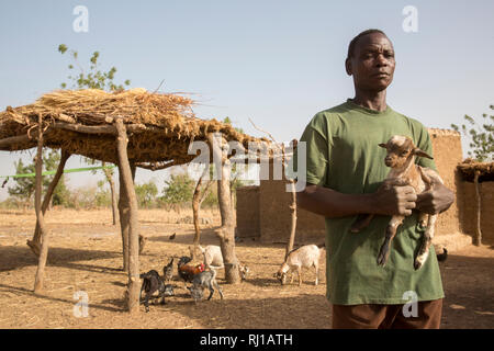 Kourono Dorf, yako Provinz, Burkina Faso; Moussa Mande, 54, Ziege Projekt begünstigten, mit Ziege dung er verwenden wird seine Getreidefelder zu befruchten. Stockfoto