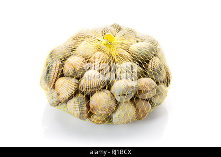 Frische Herzmuscheln auf Mesh bag auf weißem Hintergrund. Cerastoderma edule. Muschelart Stockfoto