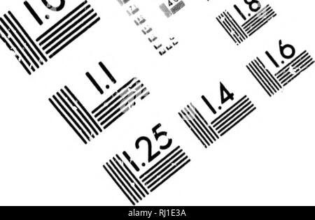 . Skizze des Nordwestens von Amerika [microform]. Hudson's Bay Company; Compagnie de la Baie d'Hudson; Indianer Nordamerikas; Zoologie; Indiens; Zoologie. Mi^ War #ry s^nS-vÂ"^^. '-^#. Bild TEST ZUR BEURTEILUNG ZIEL (MT-3)//â ¬ 7% W^y^"^^y/fA-^!.0 I.I 1,25 140 2 J III 2.0 U III 1.6 "m â"'^^^'''' V% ^J Photographic Sciences Corporation. • V^^ Â"^ L17N fi&gt;&gt; j^73 West Main Street haben BSTER, NY 14580 (716) 872-4503'*. Bitte beachten Sie, dass diese Bilder aus gescannten Seite Bilder, die digital für die Lesbarkeit verbessert haben mögen - Färbung und Erscheinen extrahiert werden Stockfoto
