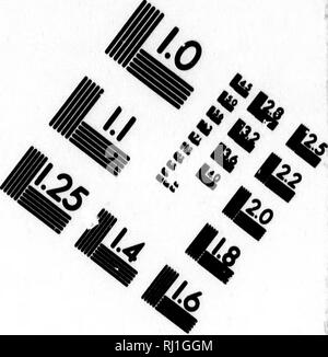 . ComplÃ©ments de Buffon [microforme]: Races humaines et mammifÃ¨res. Sciences Naturelles; MammifÃ¨res; Naturgeschichte; Säugetiere. Bild TEST ZUR BEURTEILUNG ZIEL (MT-S). 11.25 lÃ i | 28 12,5 â¢" liÃ® 122 lU 140 hÃ¢. Il-Ã'. Bitte beachten Sie, dass diese Bilder sind von der gescannten Seite Bilder, die digital für die Lesbarkeit verbessert haben mögen - Färbung und Aussehen dieser Abbildungen können nicht perfekt dem Original ähneln. extrahiert. Lektion, R.-P. (René © - PrimevÃ¨re), 1794-1849. Paris: s. Pourrat Stockfoto