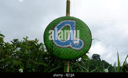 Schöne braune Blume Stockfoto