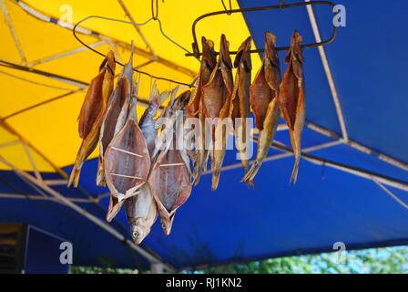 Fisch, gereinigt und getrocknet, die für den Verkauf auf dem Ufer des salzigen See Issyk-Kul, Kirgisistan Stockfoto