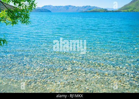 Sauberes klares Wasser am steinigen Ufer des Sees Wanaka, Glendhu Bay. Stockfoto