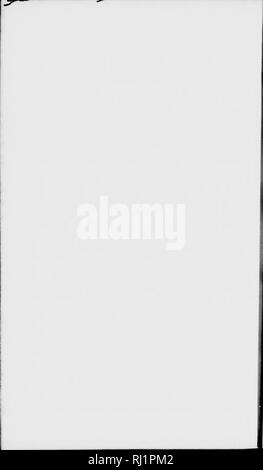 . Lake Superior [microform]: seine physischen Charakter, Vegetation und Tieren, verglichen mit denen anderer und ähnliche Regionen. Natural History; Baron. . Bitte beachten Sie, dass diese Bilder sind von der gescannten Seite Bilder, die digital für die Lesbarkeit verbessert haben mögen - Färbung und Aussehen dieser Abbildungen können nicht perfekt dem Original ähneln. extrahiert. Agassiz, Louis, 1807-1873; es. Boston: Gould, Kendall und Lincoln Stockfoto