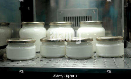 Glasbehälter mit Milch im Kühlhaus. Stockfoto