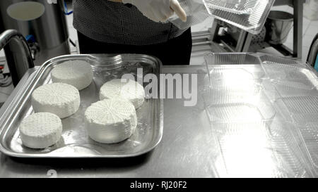 Frischkäse Räder auf kleinen herstellen. Stockfoto