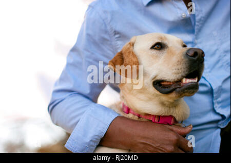 Mann petting sein Hund. Stockfoto