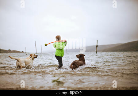 Jungen spielen holen mit zwei Hunden in einem See. Stockfoto